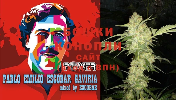 амф Аркадак