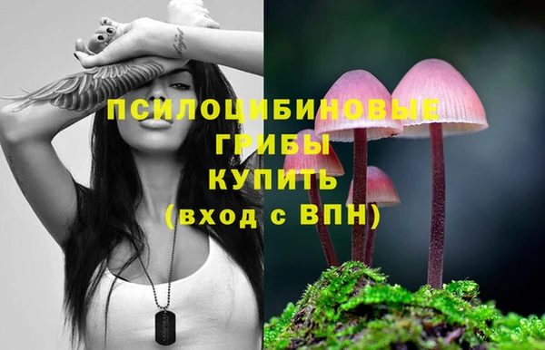 круглые Алексин