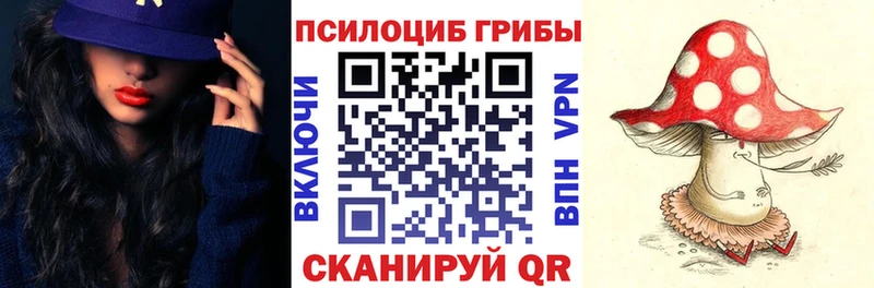 Псилоцибиновые грибы Psilocybe  Калязин 